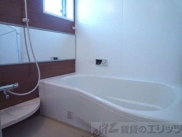 エル プエンテIIの物件内観写真